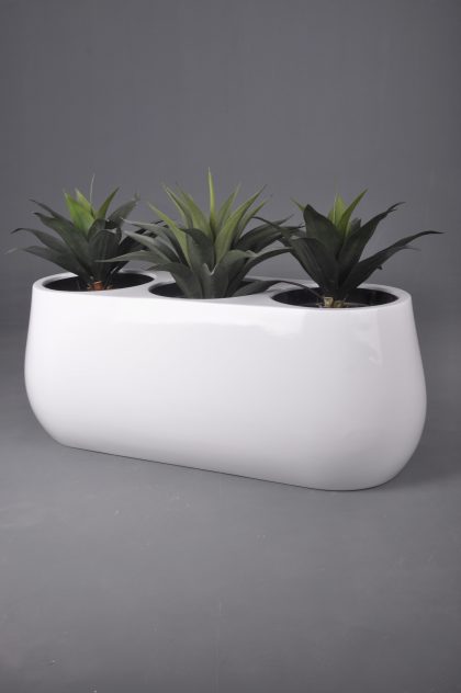 MODERN PLANTERS